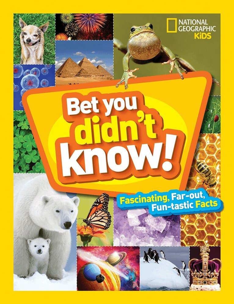 Bet You Didn't Know!
