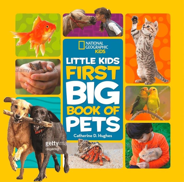 Little Kids First Big Book of Pets