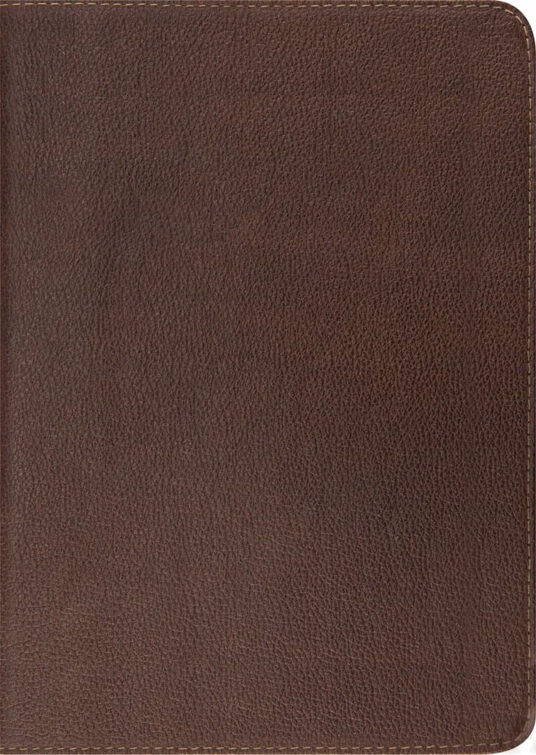 ESV Study Bible