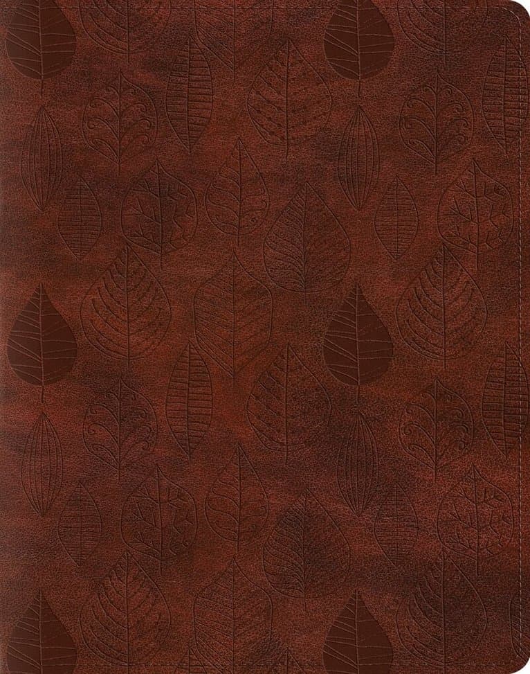 Omslag till boken ESV Single Column Journaling Bible