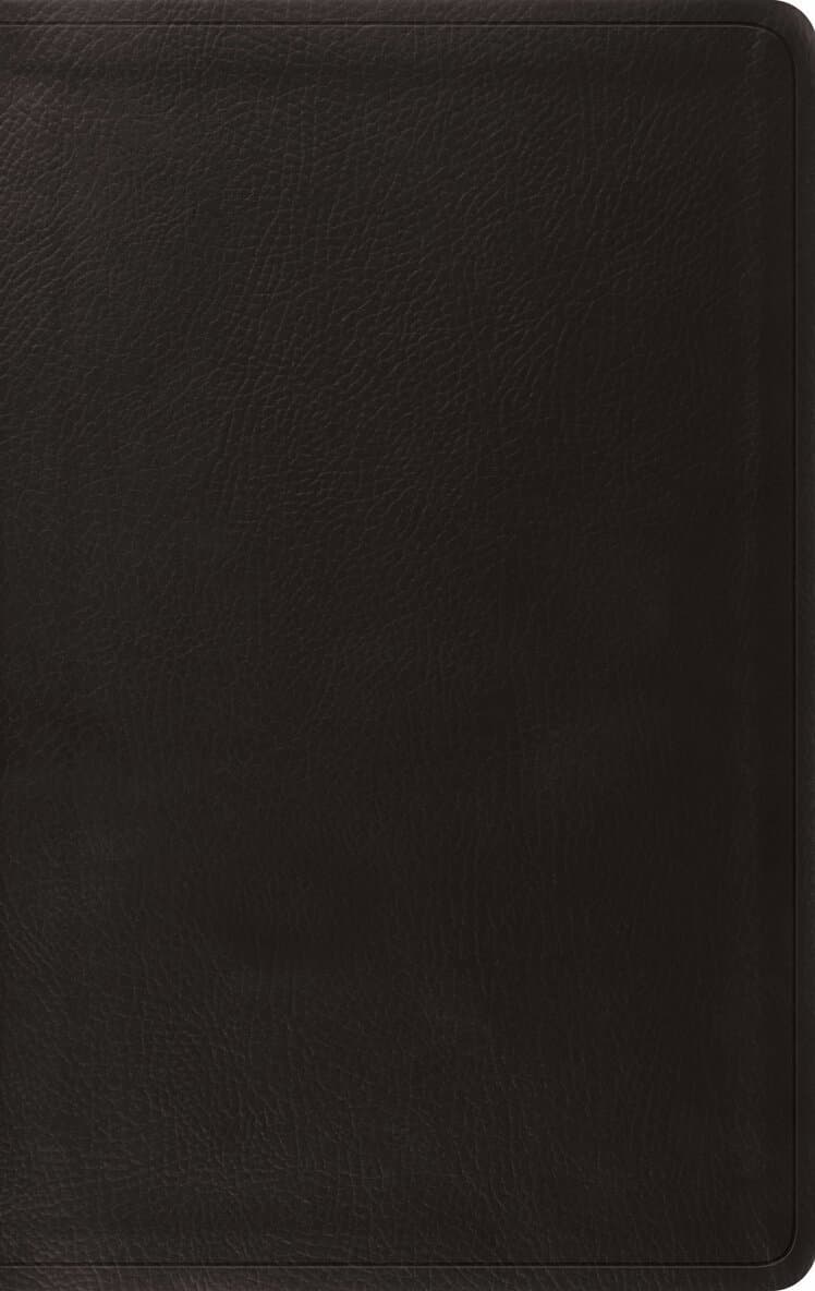 Omslag till boken ESV Value Thinline Bible