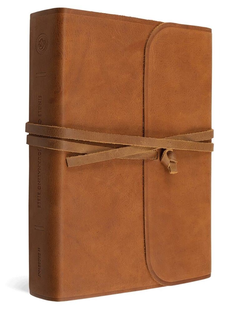 ESV Single Column Journaling Bible, Large Print