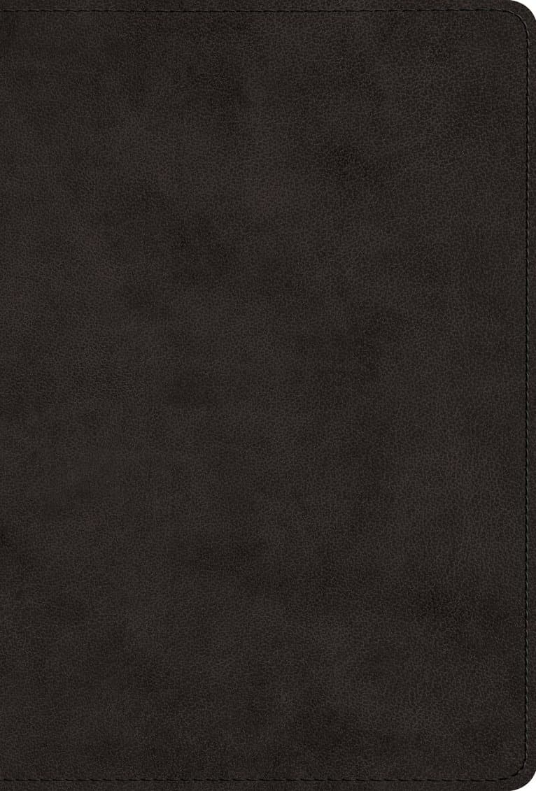 Greek New Testament, Produced at Tyndale House, Cambridge (TruTone, Black)