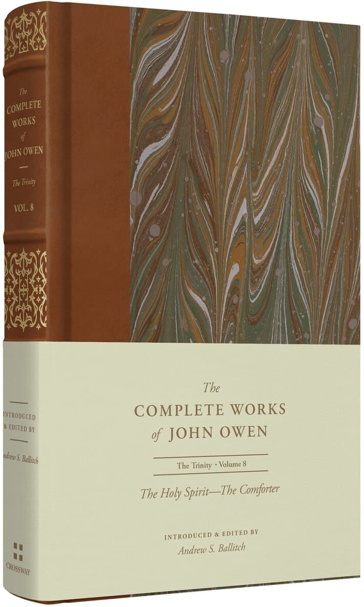 Holy Spirit—The Comforter (Volume 8)