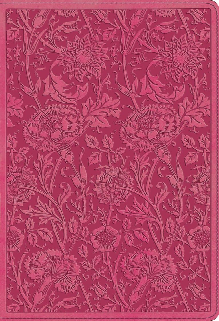 ESV Student Study Bible