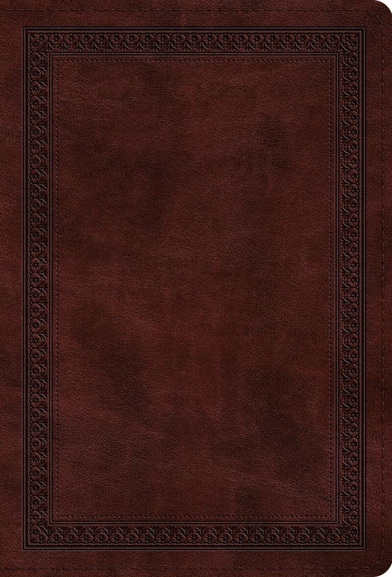 Omslag till boken ESV Large Print Compact Bible, Red Letter