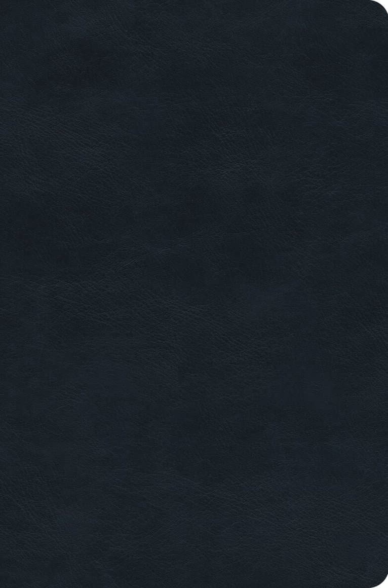 ESV Value Compact Bible