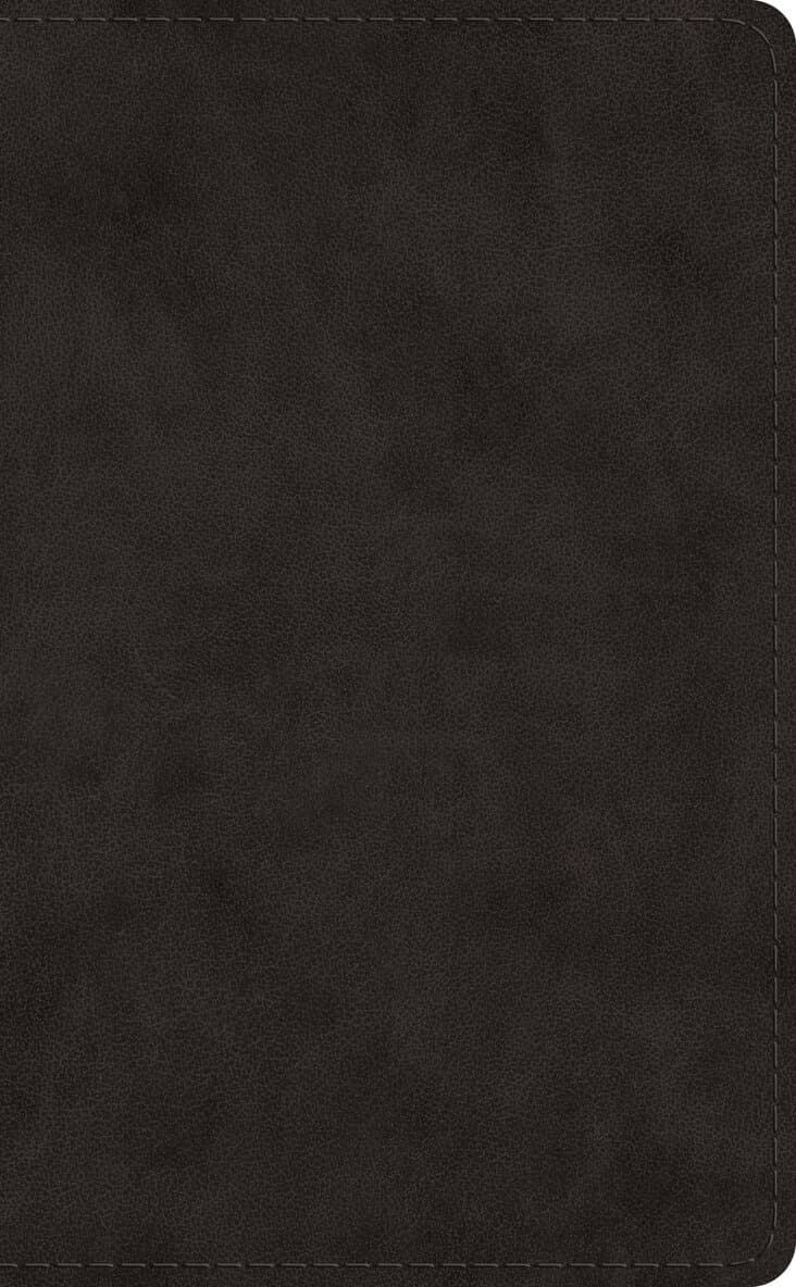 Omslag till boken ESV Pocket Bible av Esv Bibles