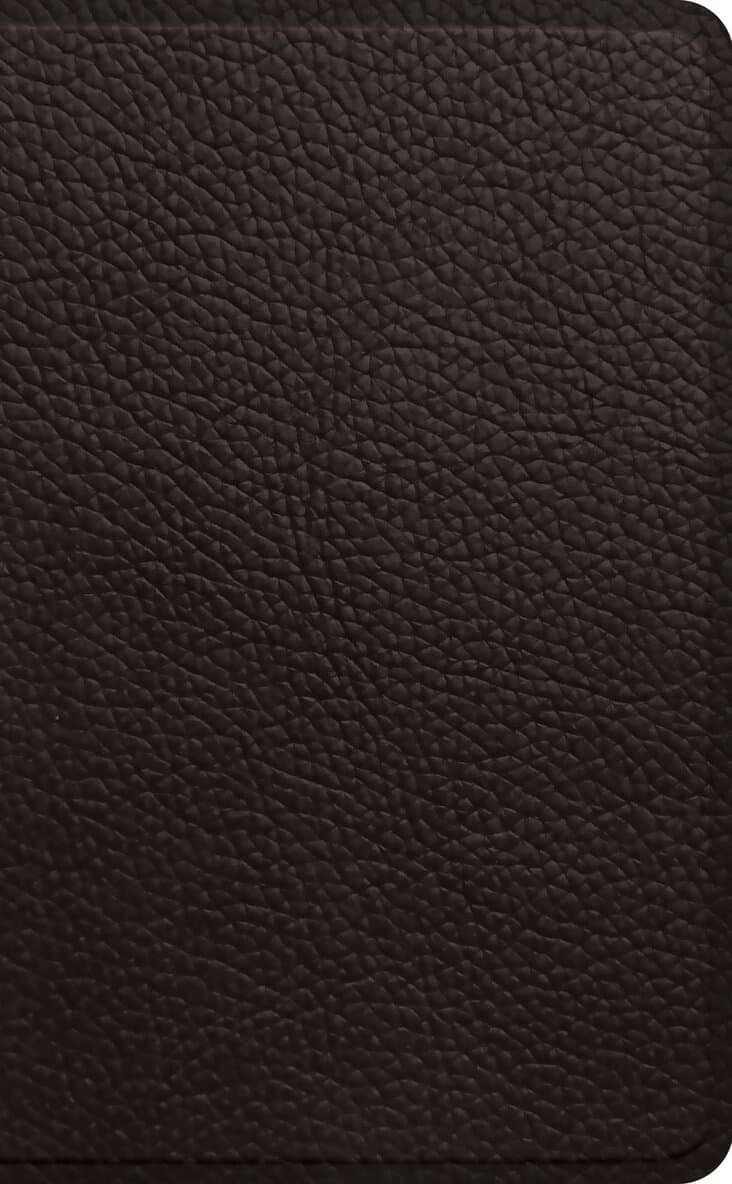 ESV Pocket Bible