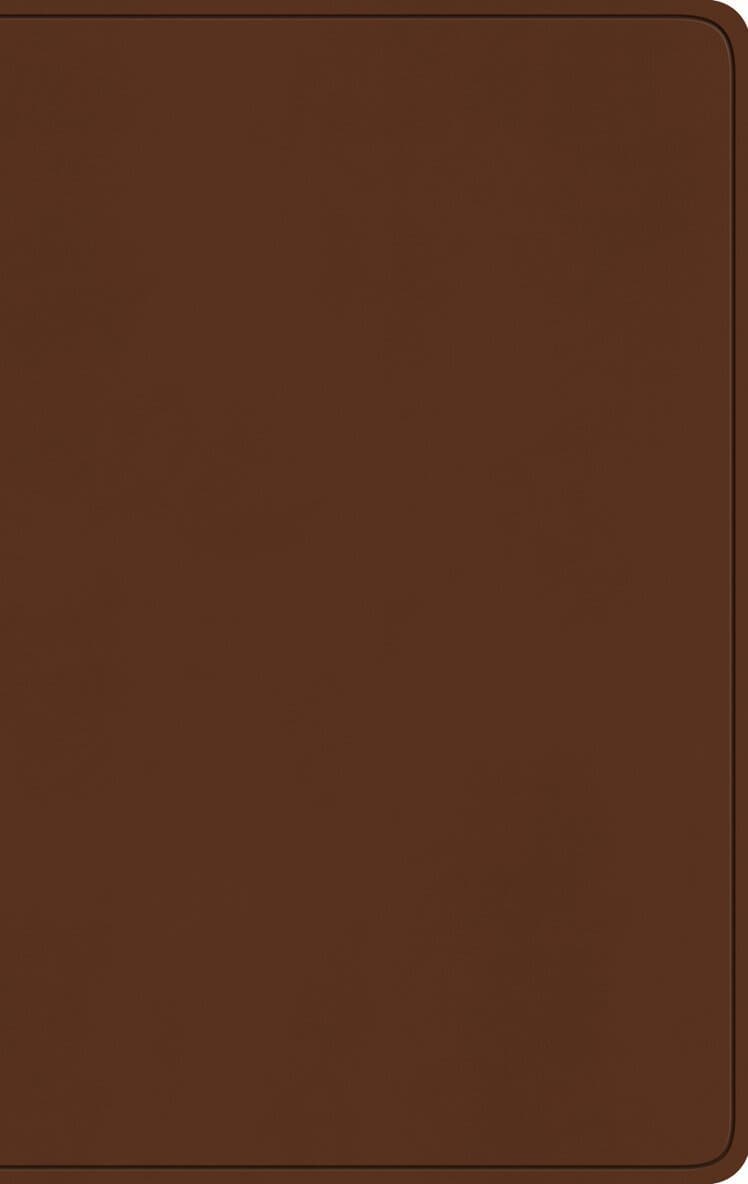 ESV Large Print Value Thinline Bible