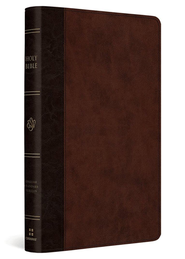 ESV Large Print Thinline Reference Bible