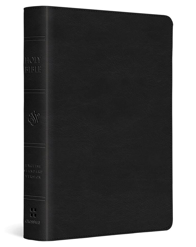 Omslag till boken ESV Large Print Compact Bible, Red Letter