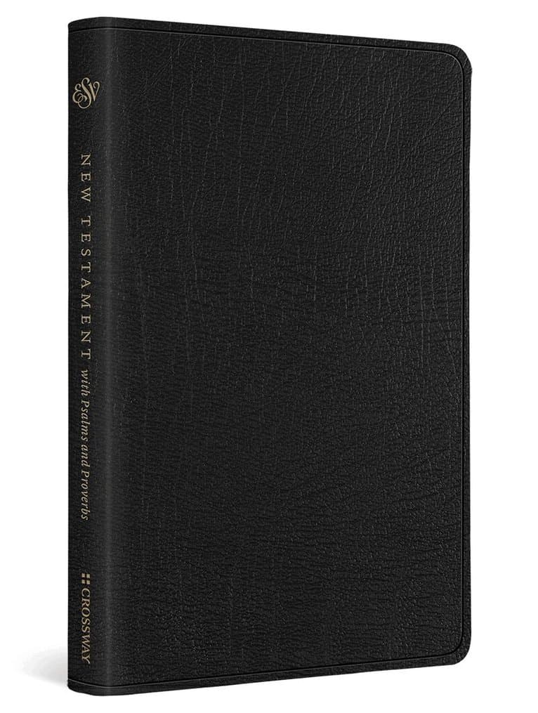 ESV New Testament with Psalms and Proverbs