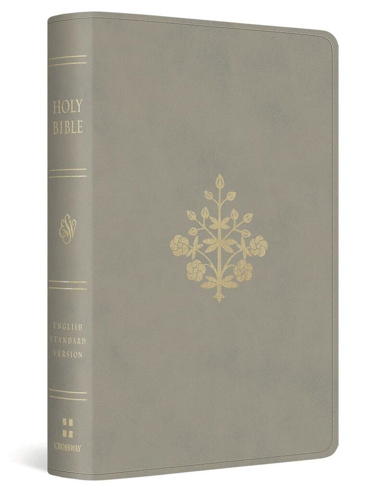 Omslag till boken ESV Pocket Bible av Esv Bibles