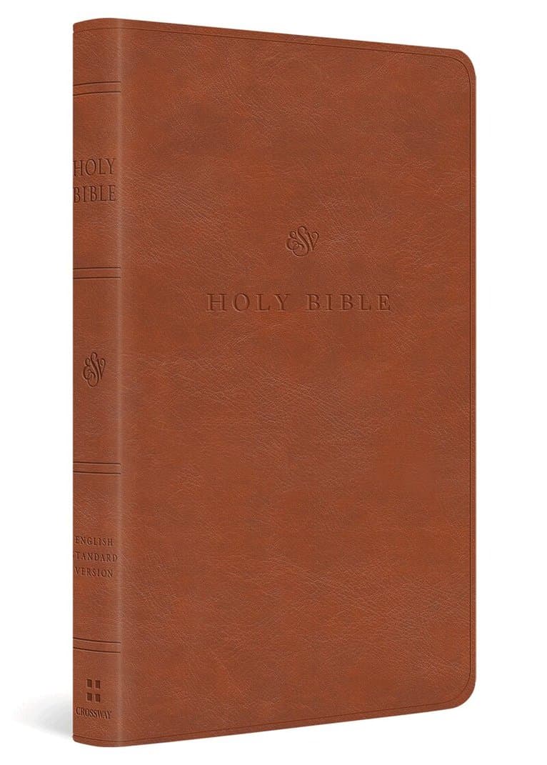 Omslag till boken ESV Value Thinline Bible