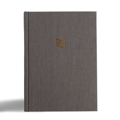 CSB She Reads Truth Bible, Gray Linen