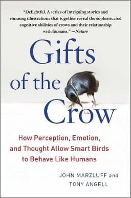 Gifts of the Crow