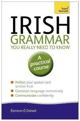 Irish Grammar You Really Need to Know: Teach Yourself