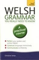 Welsh Grammar You Really Need to Know: Teach Yourself