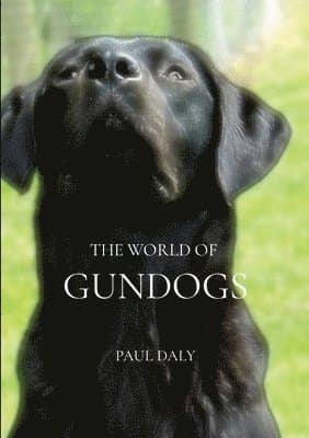 World Of Gundogs