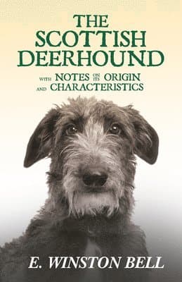 Scottish Deerhound With Notes On Its Origin And Characteristics