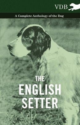 English Setter - A Complete Anthology of the Dog