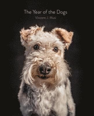 Year of the Dogs