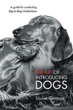 Art of Introducing Dogs