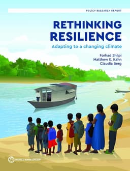 Rethinking Resilience