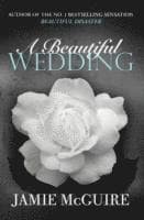 Beautiful Wedding