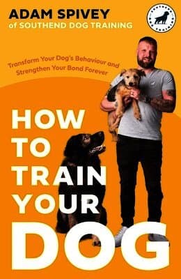 How to Train Your Dog