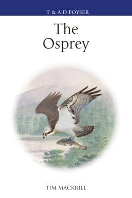 Osprey
