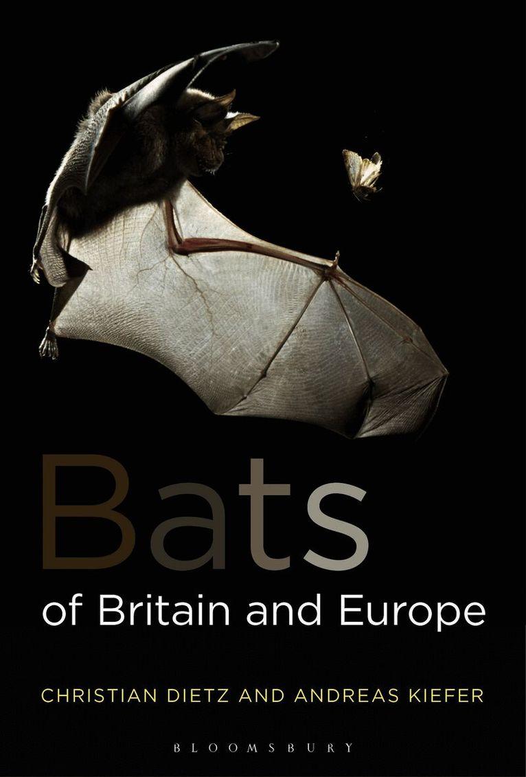 Bats of Britain and Europe