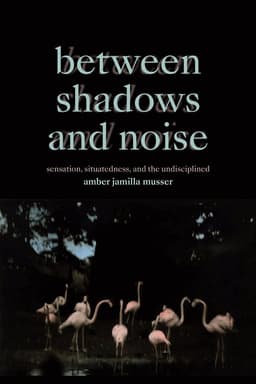 Between Shadows and Noise