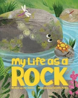 My Life as a Rock