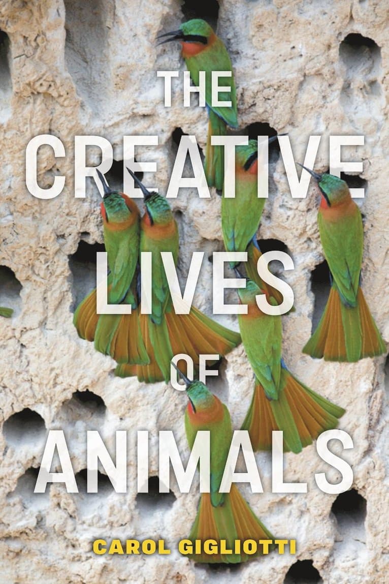 Creative Lives of Animals
