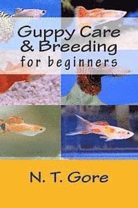 Guppy Care & Breeding for Beginners