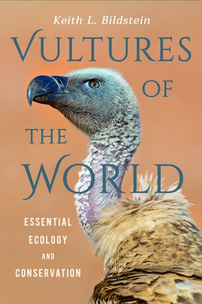 Vultures of the World