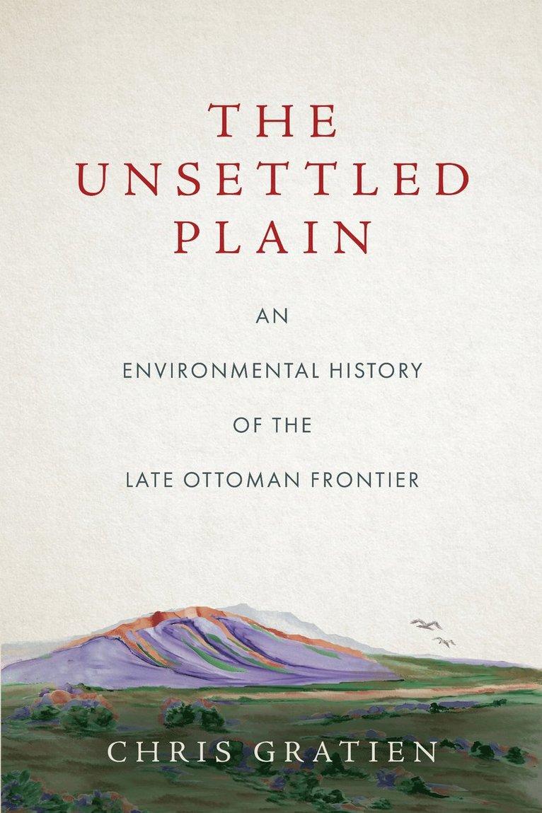 Unsettled Plain