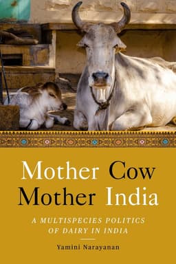 Mother Cow, Mother India
