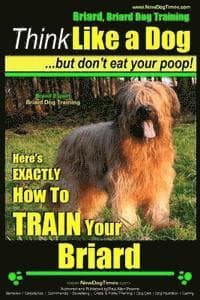 Briard, Briard Dog Training Think Like a Dog But Don't Eat Your Poop! Breed Expert Briard Dog Training: Here's EXACTLY How To TRAIN Your Briard