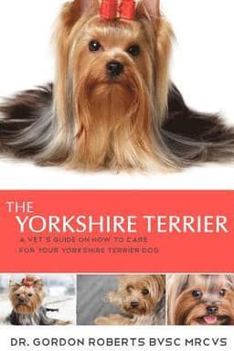 The Yorkshire Terrier: A vet's guide on how to care for your Yorkshire Terrier dog