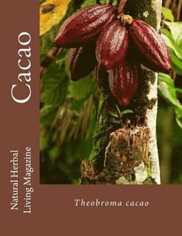 Cacao