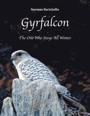 Gyrfalcon