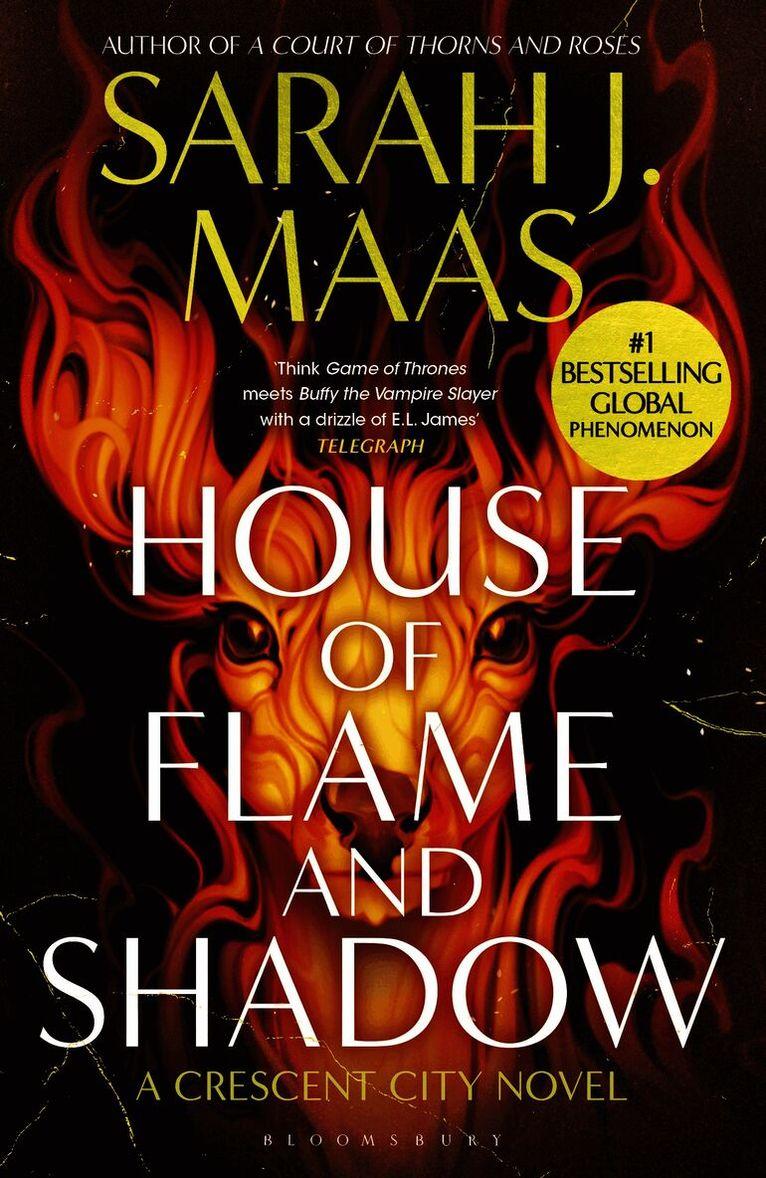 House of Flame and Shadow