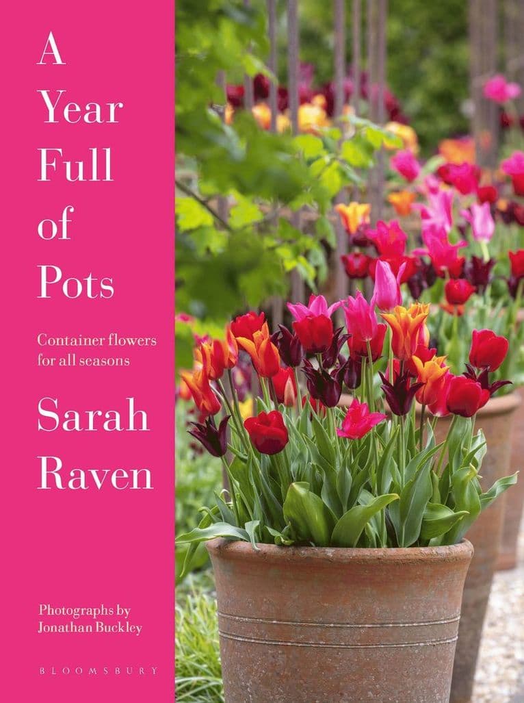 Year Full of Pots