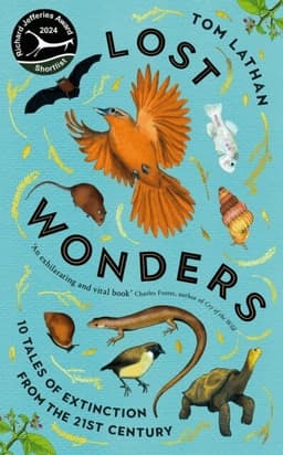 Lost Wonders