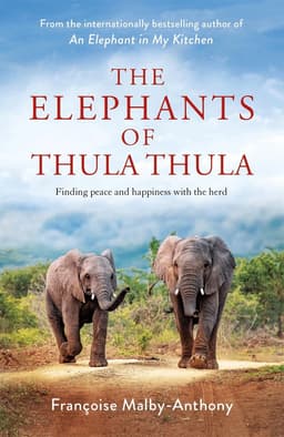 Elephants of Thula Thula