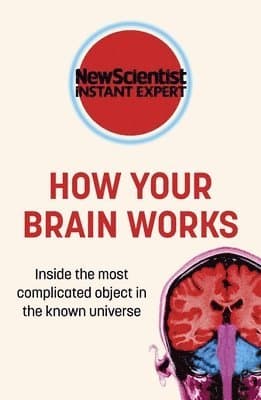 How Your Brain Works