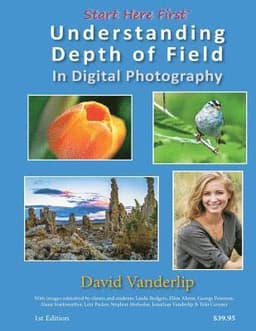 Understanding Depth of Field In Digital Photography